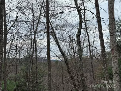 Casey Mountain 218 Road #218, Purlear, NC 28665 photo 13
