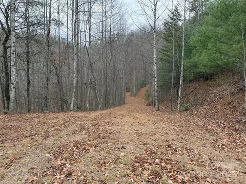 Casey Mountain 218 Road #218, Purlear, NC 28665 photo 21