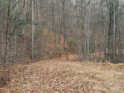 Casey Mountain 218 Road #218, Purlear, NC 28665 photo 5