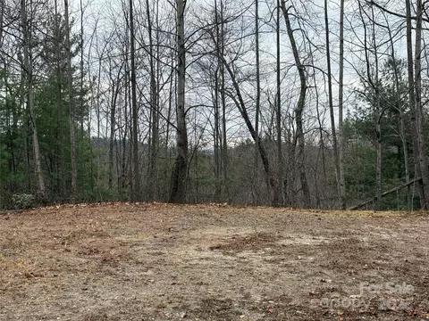 Casey Mountain 218 Road #218, Purlear, NC 28665 photo 12