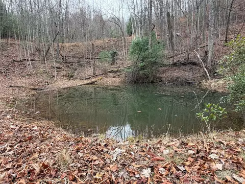 Casey Mountain 218 Road #218, Purlear, NC 28665 photo 2