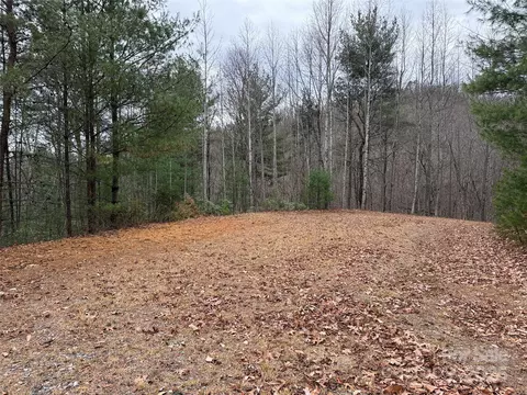 Casey Mountain 218 Road #218, Purlear, NC 28665 photo 20