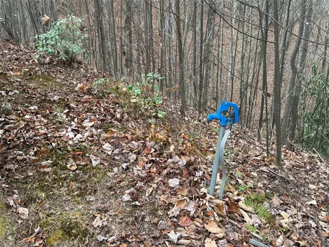 Casey Mountain 218 Road #218, Purlear, NC 28665 photo 10