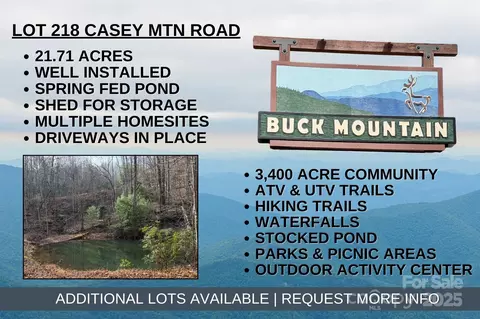 Casey Mountain 218 Road #218, Purlear, NC 28665