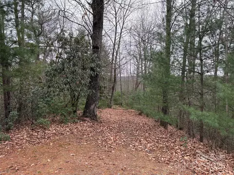 Casey Mountain 218 Road #218, Purlear, NC 28665 photo 17