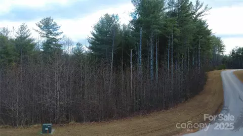 597 Peninsula Reserve 34 Rd #34, Nebo, NC 28761