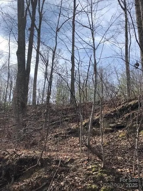 000 Butler Ridge 27 Trl #27, Hendersonville, NC 28792