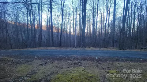 Hickory Springs 7b Road #7B, Burnsville, NC 28714