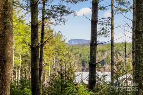365 Peninsula Reserve 25 Rd #25, Nebo, NC 28761