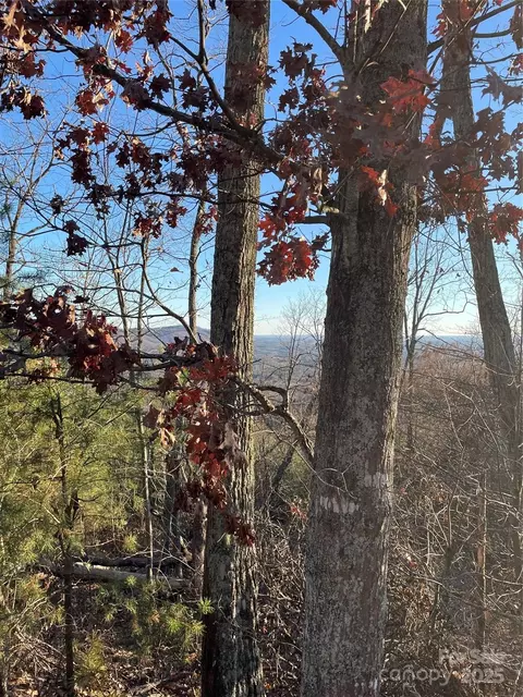 0 Brighton 237 Dr #237, Bostic, NC 28018