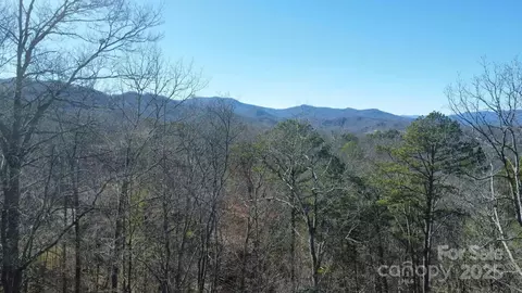 000 Hornet Dr, Whittier, NC 28789