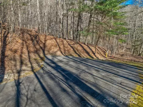 10 Ladys Fern Trail #10, Laurel Park, NC 28739