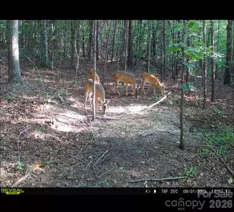 Southern Way, Nebo, NC 28761