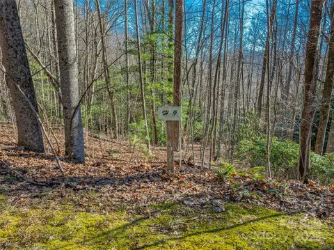 9 Ladys Fern Trail #9, Laurel Park, NC 28739