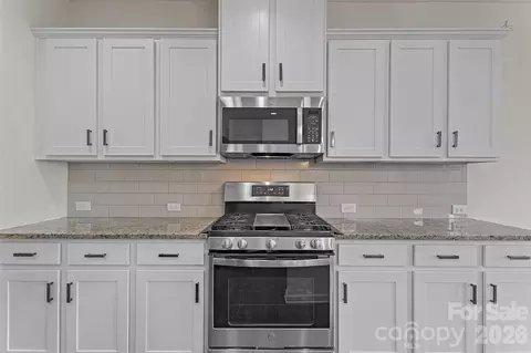 Other - 620 Amber Meadows Way, Tega Cay, SC 29708 photo 4 of 13
