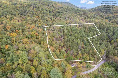 99999 Chastain Rd, Scaly Mountain, NC 28775