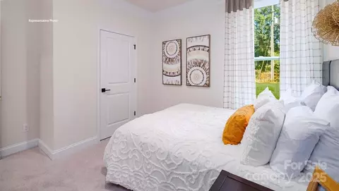 3127 Spring Iris Dr, Denver, NC 28037 photo 41