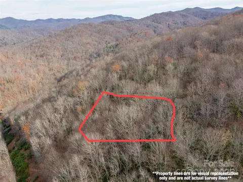 Mt Tabor Road, Topton, NC 28781