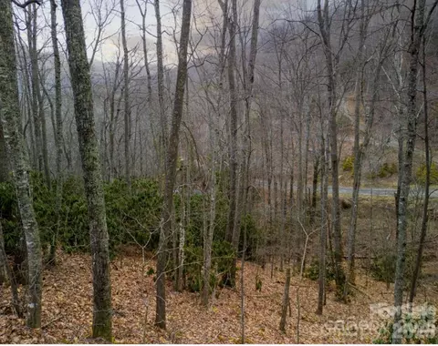 00 Seasons Lot 43 Dr #LOT 43, Clyde, NC 28721 photo 17