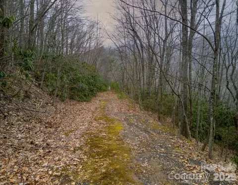 00 Seasons Lot 43 Dr #LOT 43, Clyde, NC 28721 photo 16
