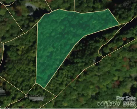00 Seasons Lot 43 Dr #LOT 43, Clyde, NC 28721 photo 15