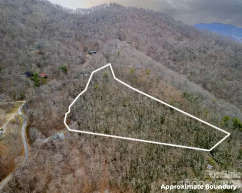 00 Seasons Lot 43 Dr #LOT 43, Clyde, NC 28721 photo 23