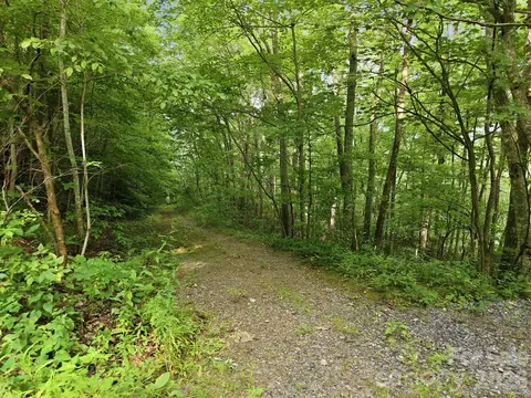00 Seasons Lot 43 Dr #LOT 43, Clyde, NC 28721 photo 2