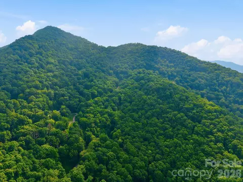 00 Seasons Lot 43 Dr #LOT 43, Clyde, NC 28721 photo 6