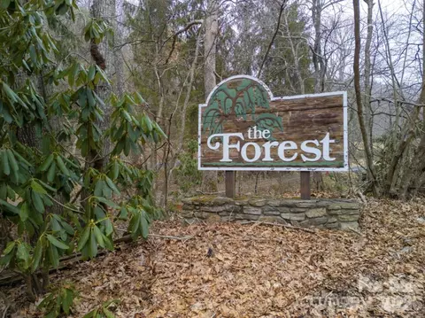 00 Seasons Lot 43 Dr #LOT 43, Clyde, NC 28721 photo 27