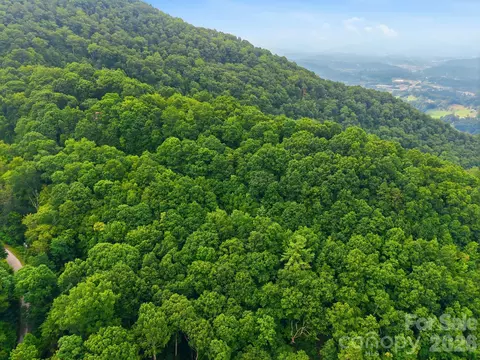 00 Seasons Lot 43 Dr #LOT 43, Clyde, NC 28721 photo 10