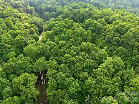 00 Seasons Lot 43 Dr #LOT 43, Clyde, NC 28721 photo 4