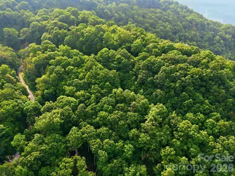 00 Seasons Lot 43 Dr #LOT 43, Clyde, NC 28721 photo 11