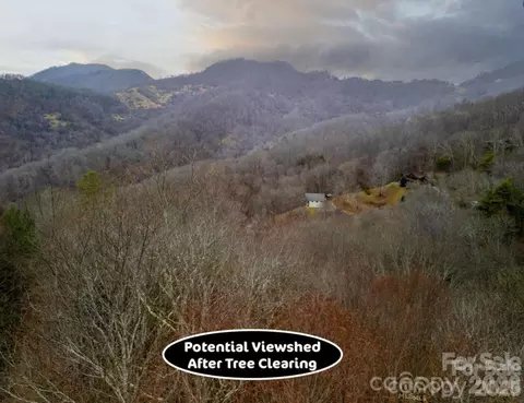 00 Seasons Lot 43 Dr #LOT 43, Clyde, NC 28721 photo 19