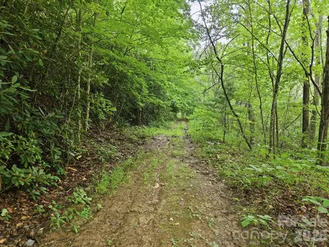 00 Seasons Lot 43 Dr #LOT 43, Clyde, NC 28721 photo 3