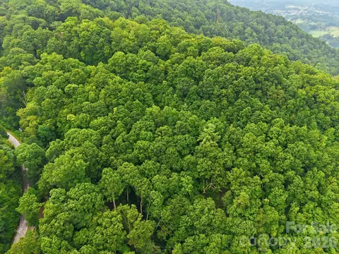 00 Seasons Lot 43 Dr #LOT 43, Clyde, NC 28721 photo 12