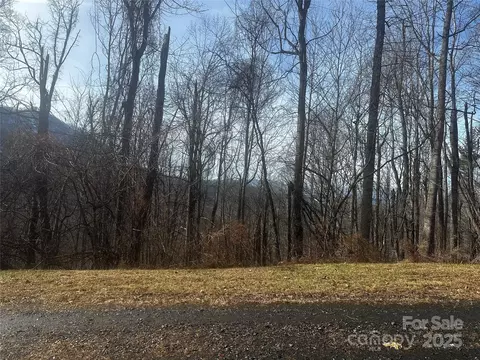 0 Wild Turkey 21 Rd #21, Bakersville, NC 28705