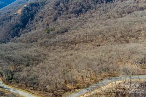 00 Summit View Dr, Canton, NC 28716 photo 9