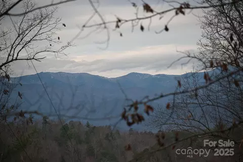 00 Jarrell Loop, Old Fort, NC 28762 photo 23