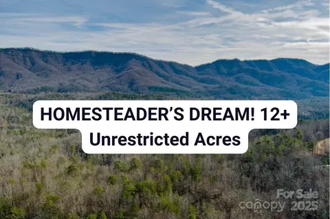 00 Jarrell Loop, Old Fort, NC 28762