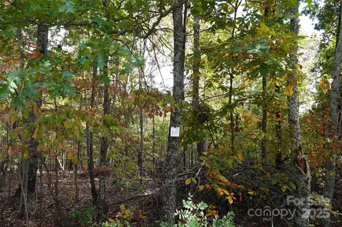 69 Adirondack Ln, Bostic, NC 28018 photo 9