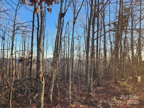 69 Adirondack Ln, Bostic, NC 28018 photo 11