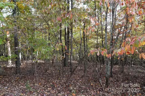 69 Adirondack Ln, Bostic, NC 28018 photo 8
