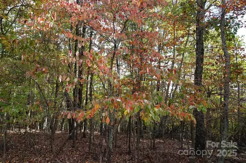 69 Adirondack Ln, Bostic, NC 28018 photo 3