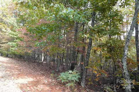 69 Adirondack Ln, Bostic, NC 28018 photo 6