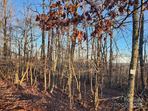 69 Adirondack Ln, Bostic, NC 28018 photo 13