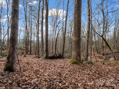 17 Maple Leaf Dr, Hendersonville, NC 28792