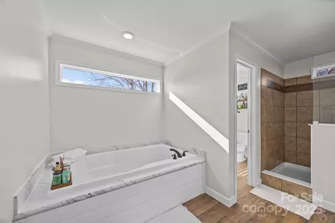 Bath - 247 Aden Green Rd, Mill Spring, NC 28756 photo 3 of 4