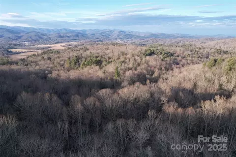 tr-17 Double Falls Road #17, Pisgah Forest, NC 28768