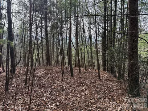 21 Buck Mountain Road #21, Purlear, NC 28665 photo 15