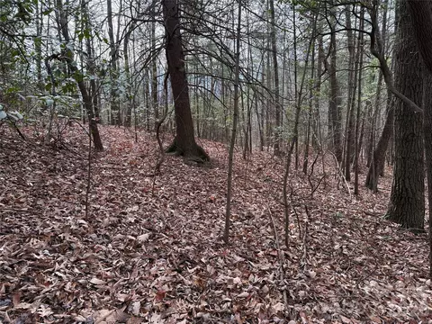 21 Buck Mountain Road #21, Purlear, NC 28665 photo 12